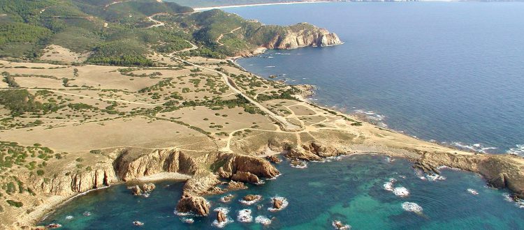 Capo pecora